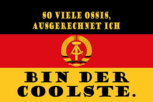 Blechschild 30 x 20 cm DDR Spruch: So viele Ossis, ausgerechnet ich bin der Coolste - DekoNo7